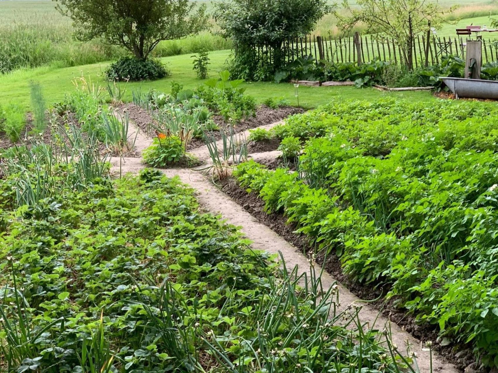 Ferienhof Schoof No2 Friedrichskoog Bagian luar foto