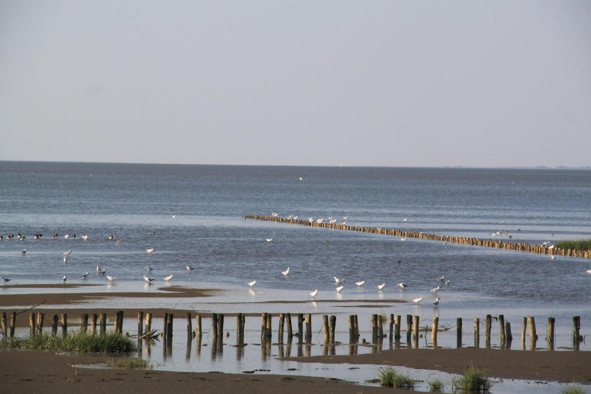 Ferienhof Schoof No2 Friedrichskoog Bagian luar foto